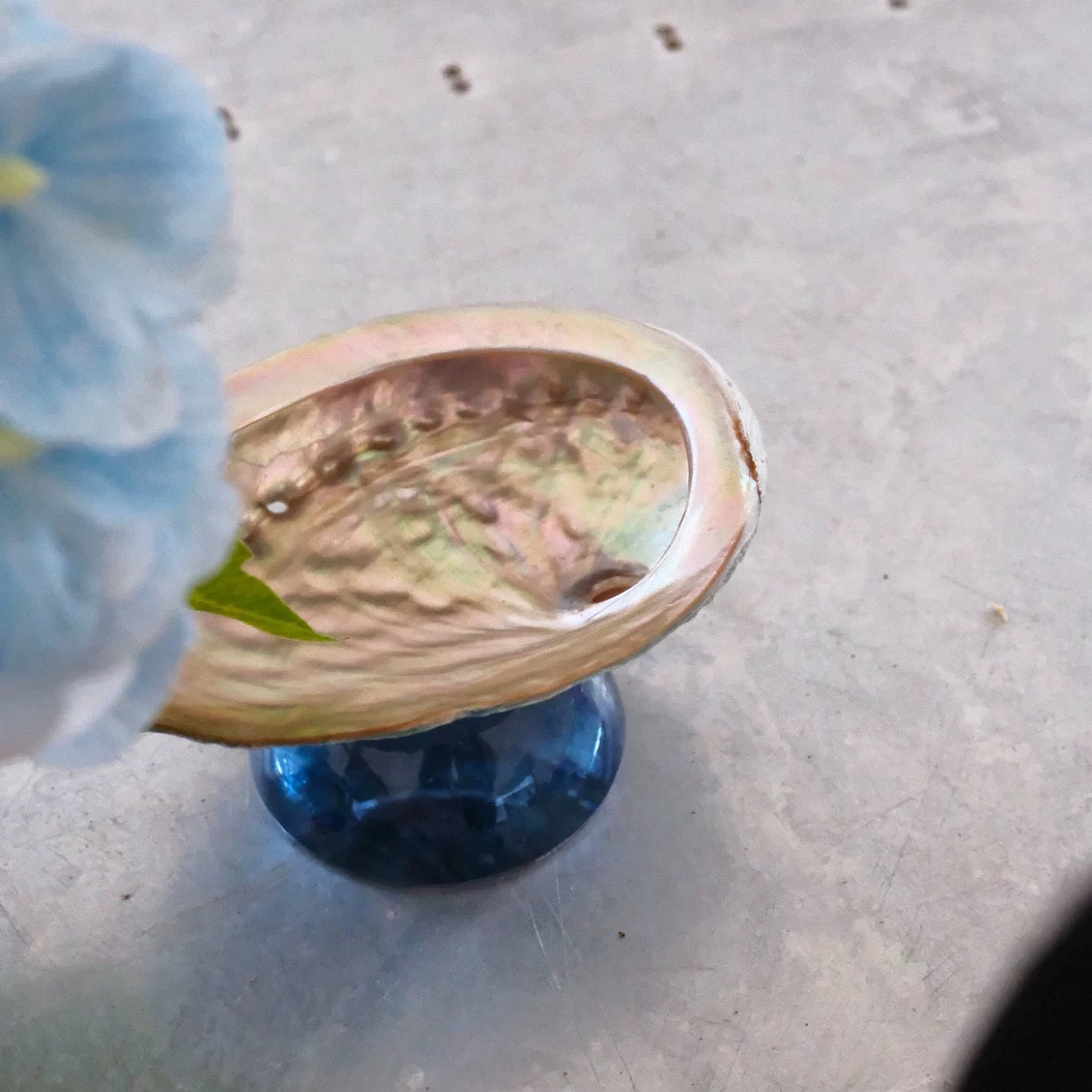 Natural shell colored tray-95