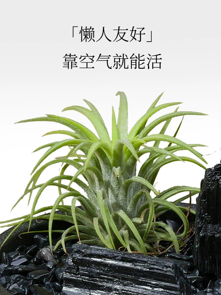 Natural crystal landscape ornaments-45