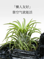 Natural crystal landscape ornaments-45