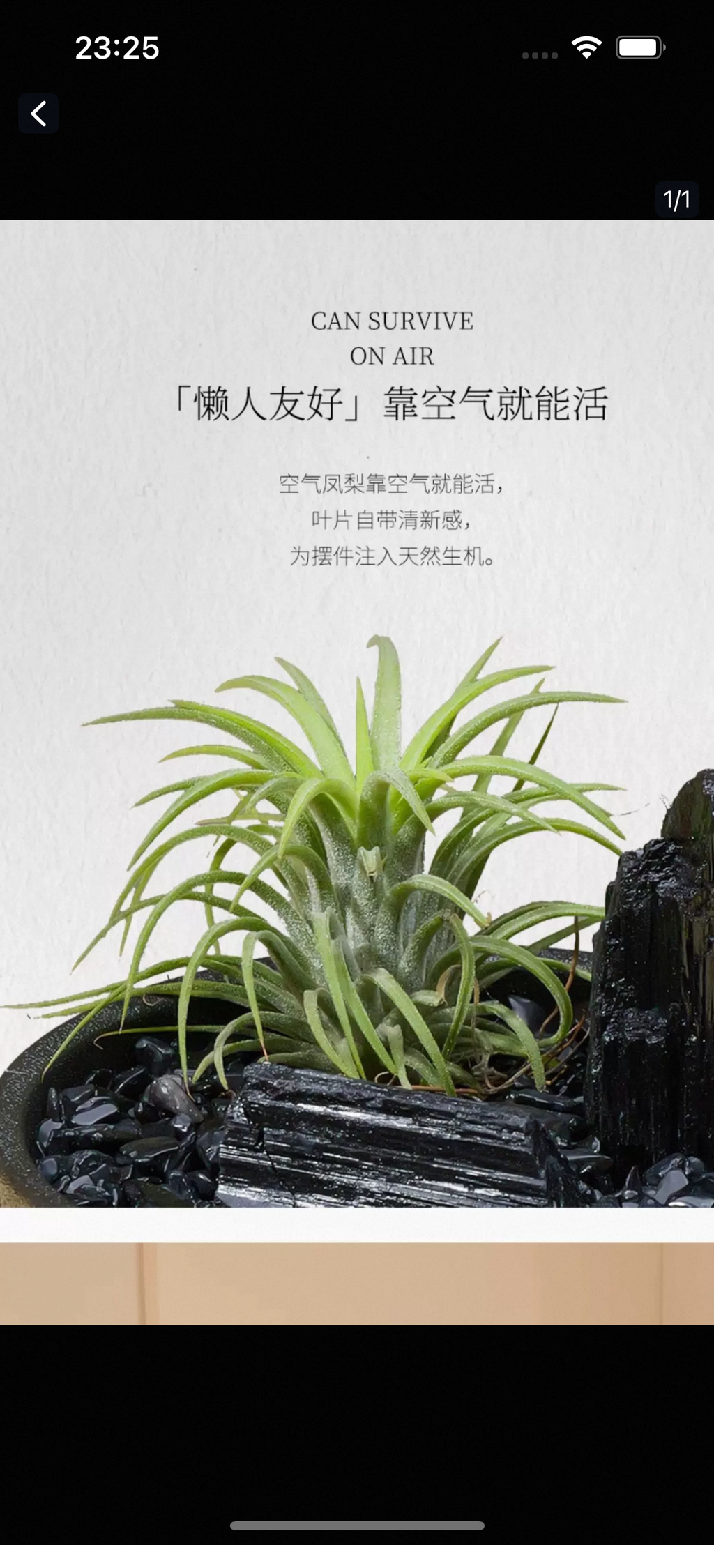 Natural crystal landscape ornaments-45