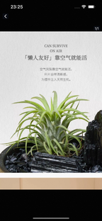 Natural crystal landscape ornaments-45