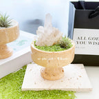 Crystal Energy Repository-218