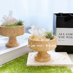 Crystal Energy Repository-218