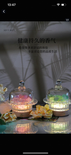 Crystal Energy & Aroma Night Lamp-263